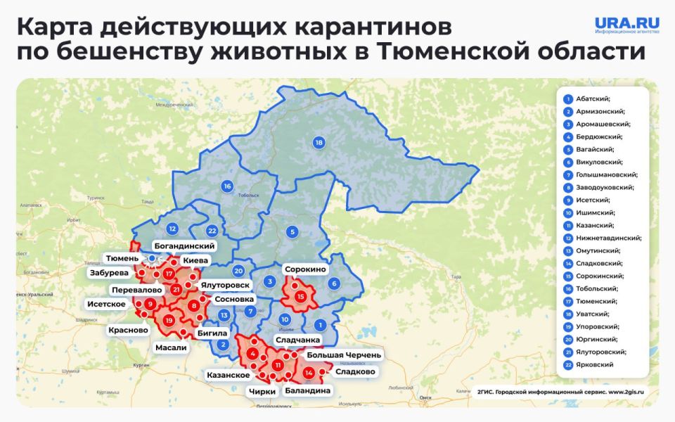 Тюменскую область накрывает волна вируса — бешенства животных