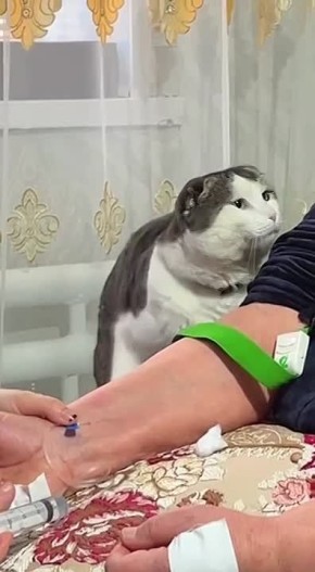 ����� ������ �����: ����� ����� ���������� �� ���� �������