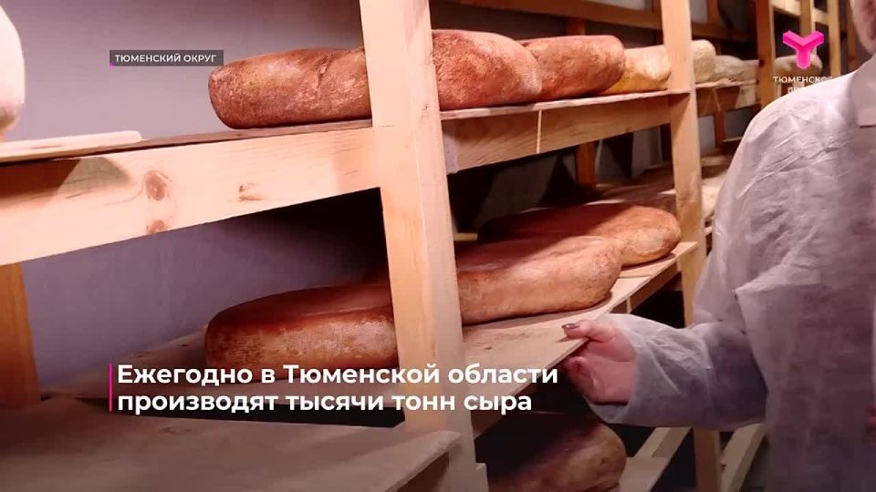 Ежегодно в Тюменской области производят тысячи тонн сыра