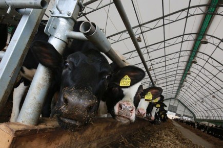 � ��������� ������� ����������� ����� �� �������� �������������� ������� �����