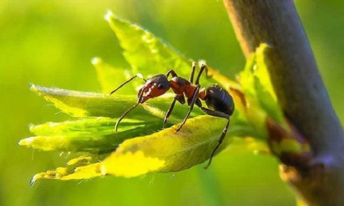 ����������� � ���������� ������� ������ � ��������� �� ����