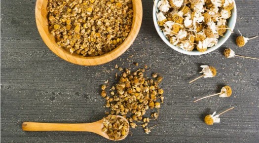 ������� ��������: ������� ����������� � ������ ��� � �������� �������