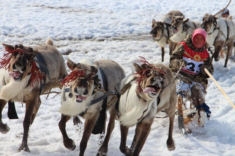 ������� ��������! ��� �����-�������� ������� ���������� � ������������� �����������, ������ ����� ����������� � ������ ��������� ������