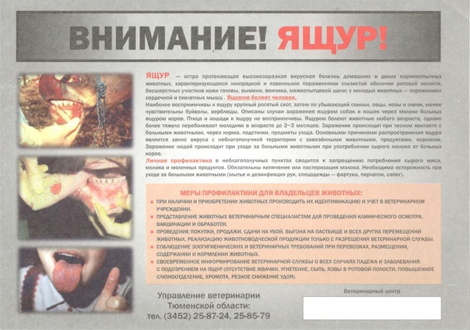 ���� - ��� ������������, ���������������� � ������ ������������������ �������, ���������� ������� ������� ����, ����, ���, ������, ������, ���������, ��������, ���� � ����� ������������� ��������