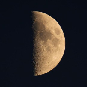 ����� ������ ����� ��������� ������� � ��������� 19 �������