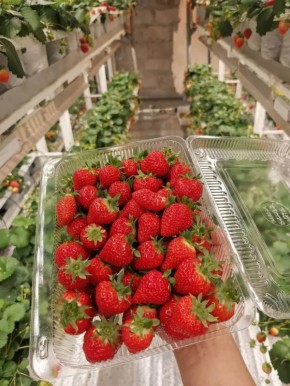 ����� �������, ��-��-��. � ���, ��������! ��� � �� ������!