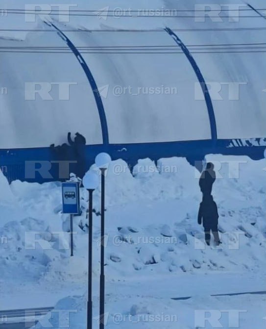 Дети часто играли рядом со зданием в Лянторе (ХМАО), где сегодня случилась трагедия