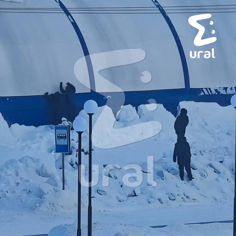 ��������������, ������ ������, ������������ ��� ��������� ����� � �������, ���� � ����������