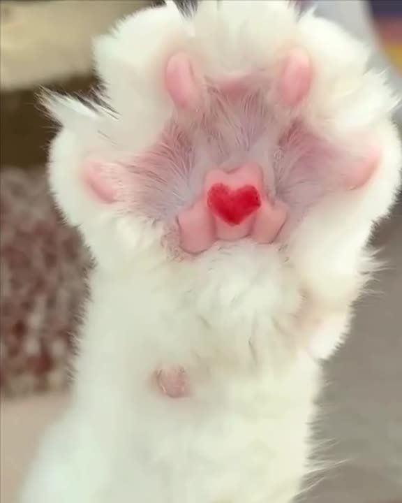 С Днём всех влюблённых. МегаТюмень