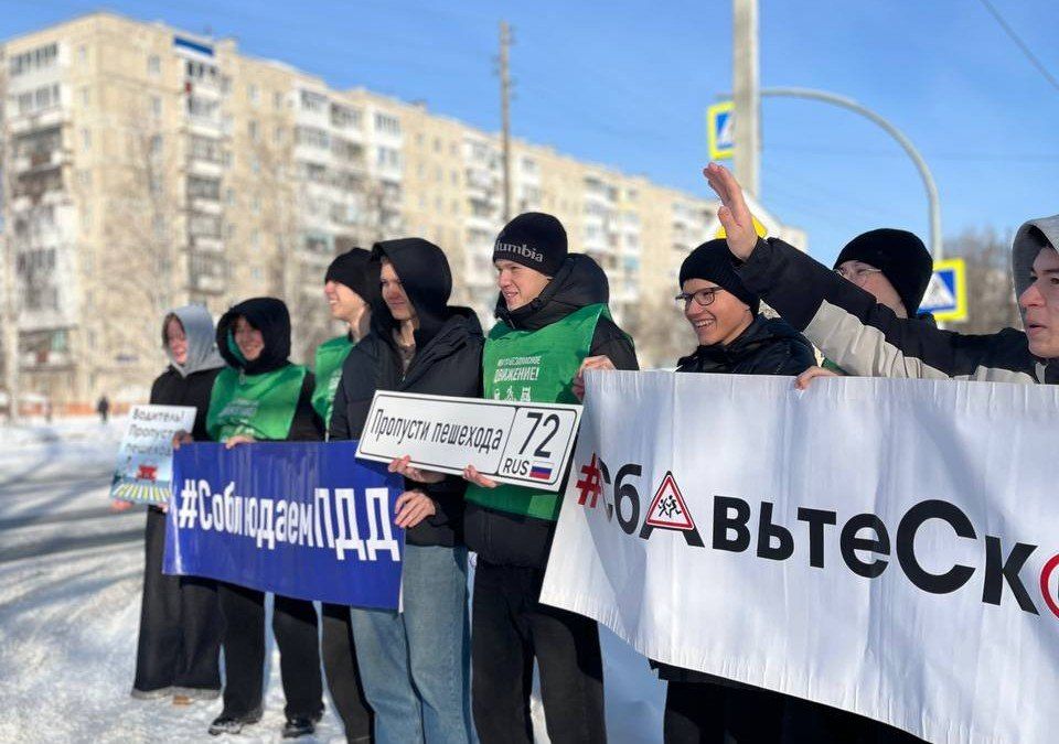 Акция «Пешеходный переход» в Тобольске: студенты напомнили водителям о главном