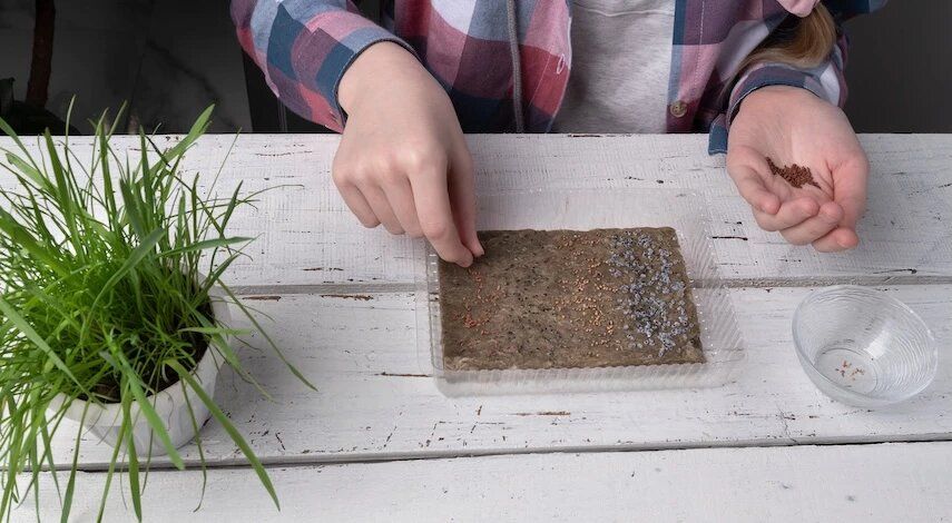 ��� ��������� �������� ������������� �����: ������ ��� ���������