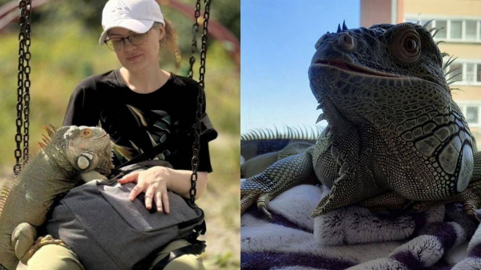 � ������ ���� ������� ��� 19-������� ������ ���