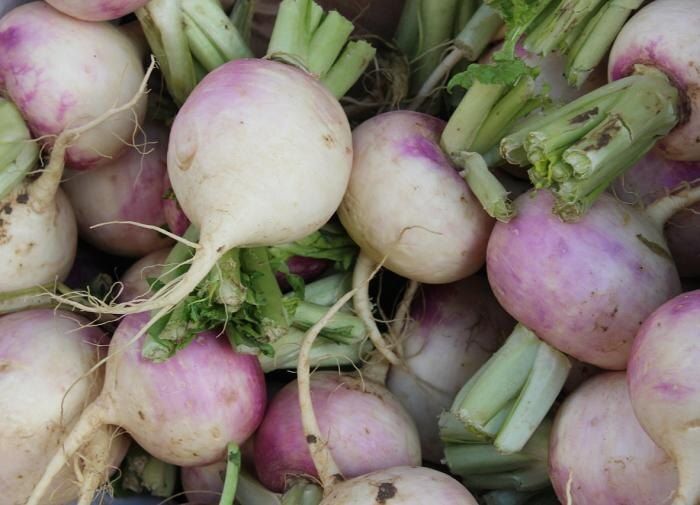 ������ ����� ������� ���� � ���� ������