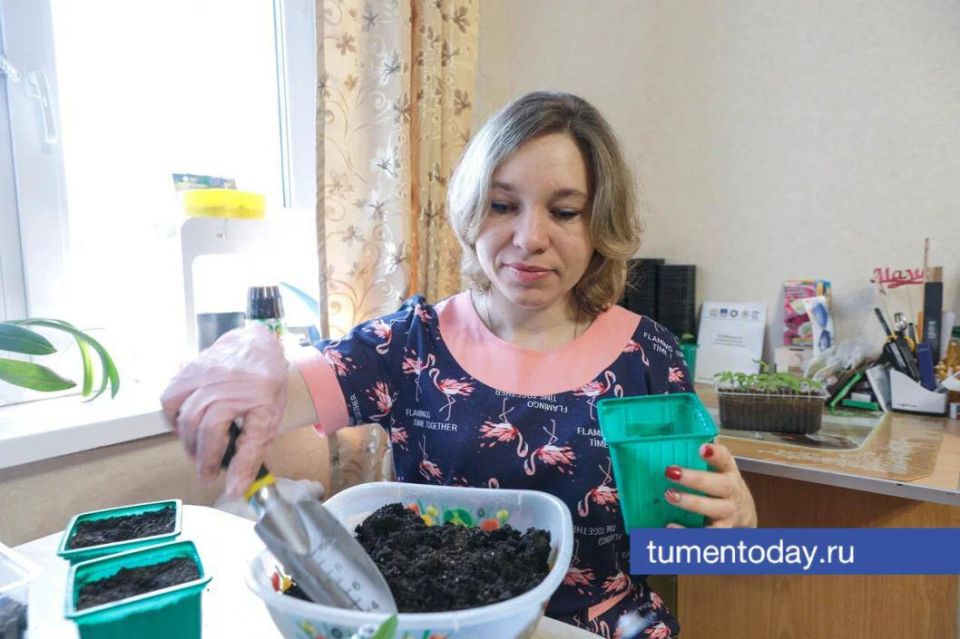 Тюменский садовод рассказала о микроэлементах, которые нужны растениям