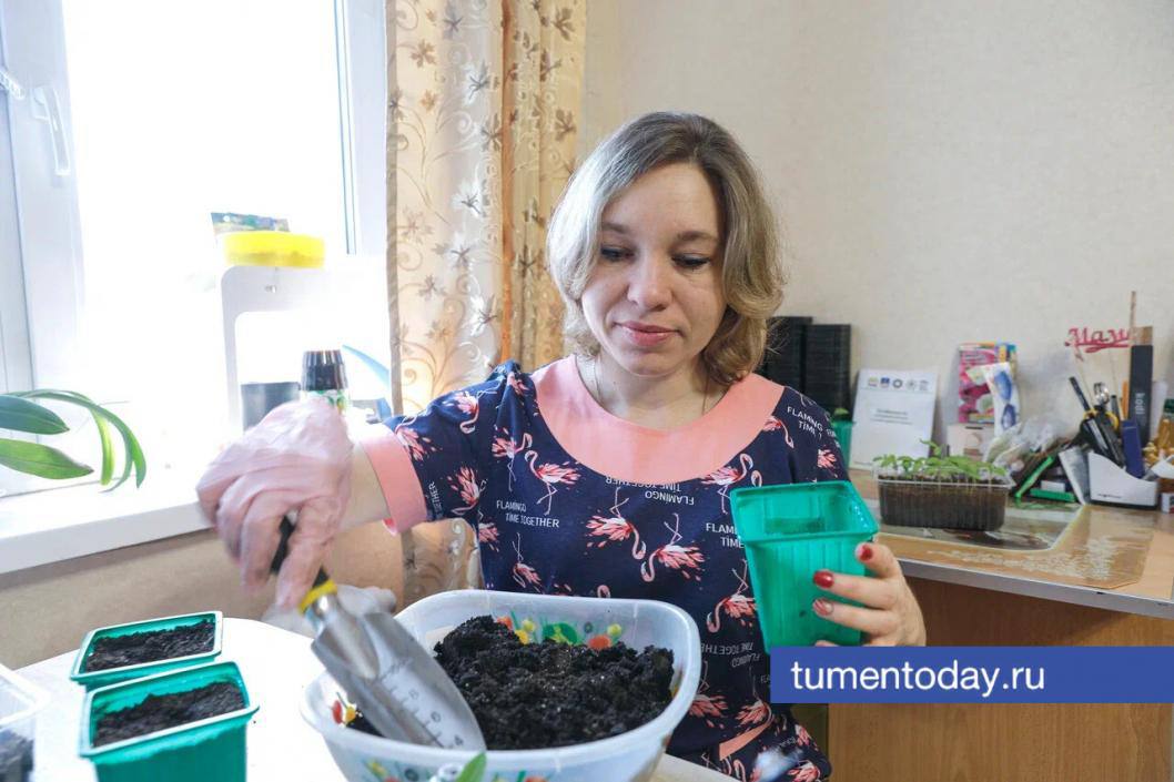 Тюменский садовод рассказала о микроэлементах, которые нужны растениям