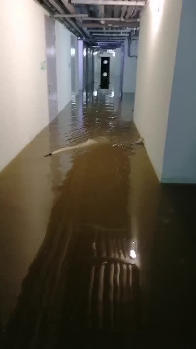 Тюменцев продолжает затапливать — воды уже по колено