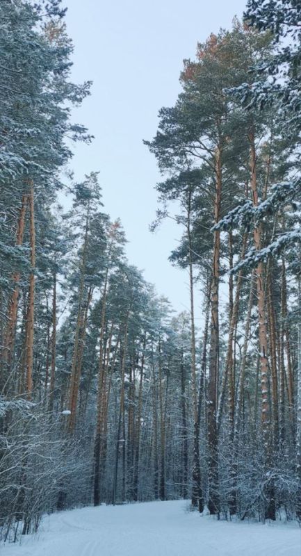 �������� � ����. ����������� ����� � �������� ����� ������ ��������� ��� ������� � ��������� ��������� ����