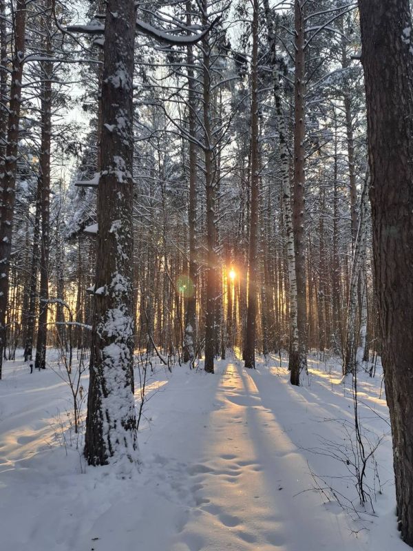 ������� ����, ������! ������ � ������ ����� -8 ��������, � ���� ����� -1. ������� �� ���������