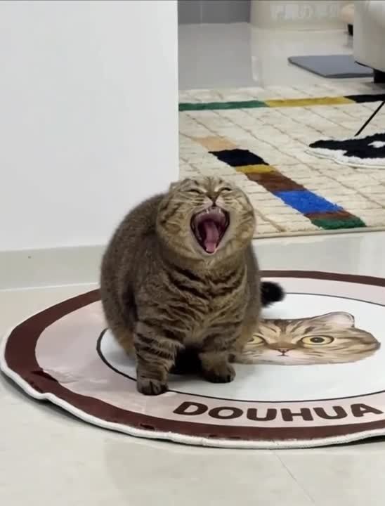 Ну что, выспались?Да, снова понедельник на дворе