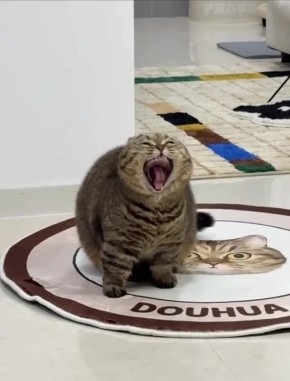 �� ���, ���������?��, ����� ����������� �� �����