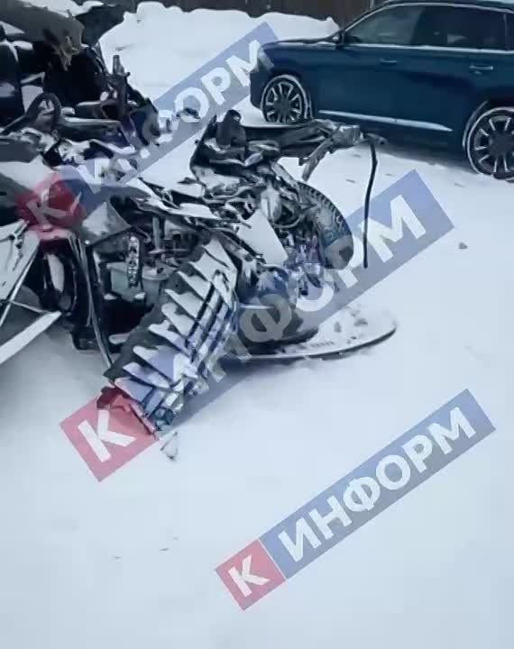 Тюменский Хатико остался на месте страшного ДТП, произошедшего накануне на трассе Тюмень — Ханты-Мансийск — песеля сейчас пытаются спасти ветеринары