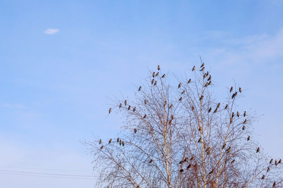 Уже настраиваемся на весну