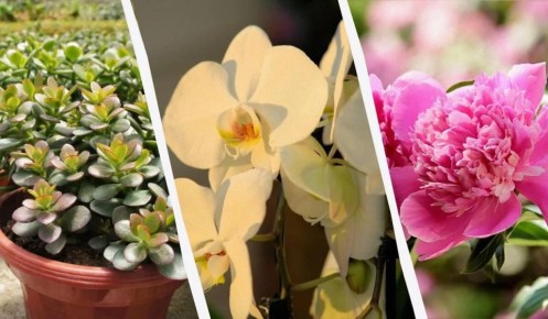 ��� �������� � ��� �����: 14 �������� ��� ������� � �����������