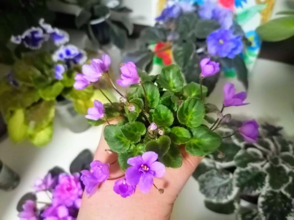 ������ ���� ����� � ������ ������� ����� �������� ��� ��������� � ��������� ��������