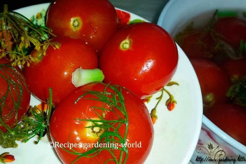 ������� ���������� ������� ������� �������� �� ����