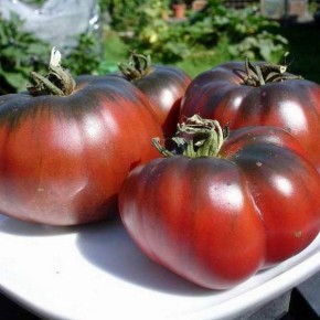 ����� ���������� �������: ��� ��������� � ������������ � ������������ �������