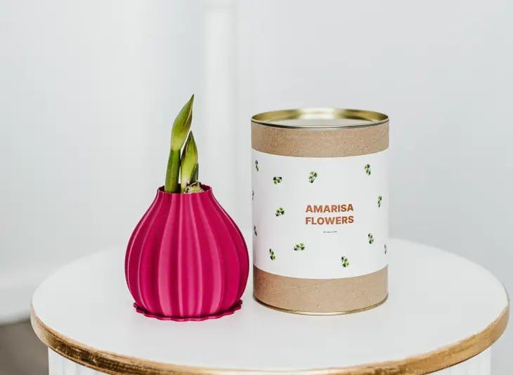 Импортозамещающую технологию выгонки цветов без почвы разработали тюменские студенты