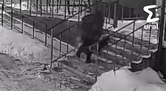 � ��������� �� ������� ������� ������ ���� ������