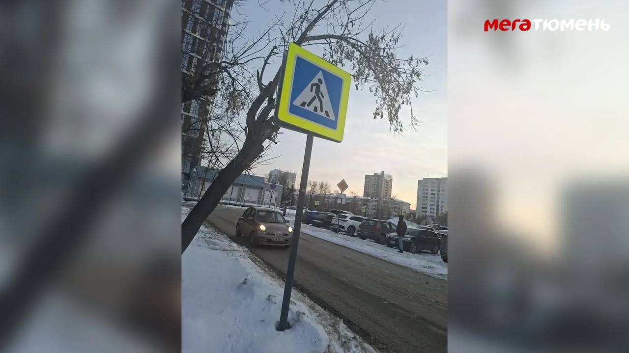 Жительница областной столицы пожаловалась редакции «МегаТюмень», как переход на платный режим работы добавил адреналина в ее жизнь Жительница областной столицы пожаловалась редакции «МегаТюмень», как переход на платный режим работы добавил адреналина в ее жизнь