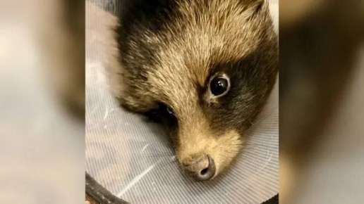 �������� ���� � �������. � ������ ����������� ������ � ������� ��������� ������ �� ������� � ����� � ������� ������