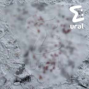 ��������� ��������� ���� �������� � ������