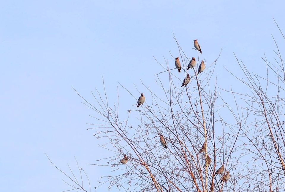 Держим курс на весну. Доброе утро Фото: Мэрия МегаТюмень