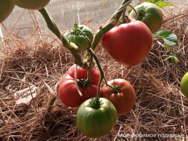 � ������� ��������� �����: ��� �������� ���������������� ������ ��� ������ ����������� ���������