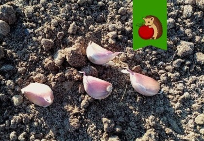 ������ � �������: ����������� ����� ��������