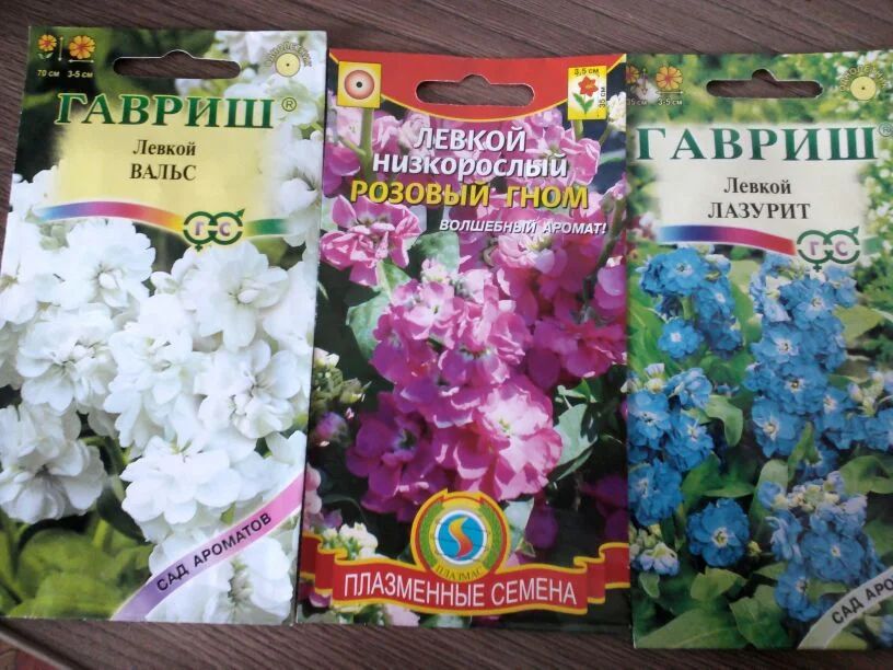 �����, ������� �� ��������� ��������: ����� ������������� ��������