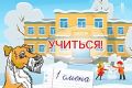 Сегодня учебные занятия 1-й смены в общеобразовательных учреждениях города Тюмени по климатическим условиям не отменяются