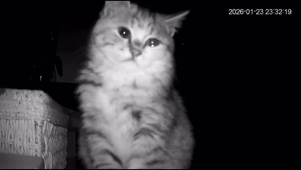 Мы платим за интернет, чтобы плакать