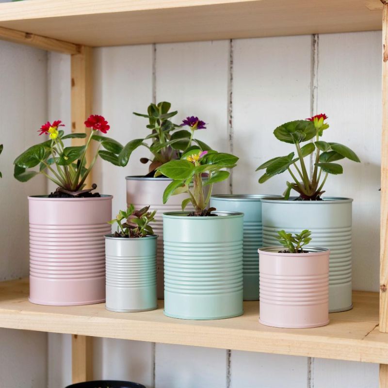 ��� ������ ���������� ����� ������������ � �������� ����� ��� ������ ����