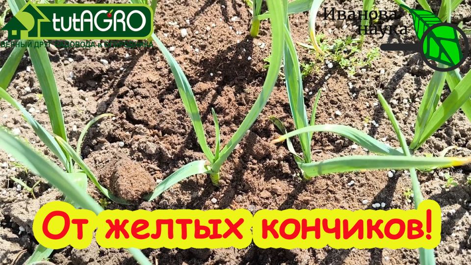 ��������� ��������� ��� �������: �������� �� ������ � ����� �������� ������