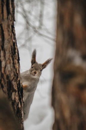 ��� ���� ������ ��� ������� �����������