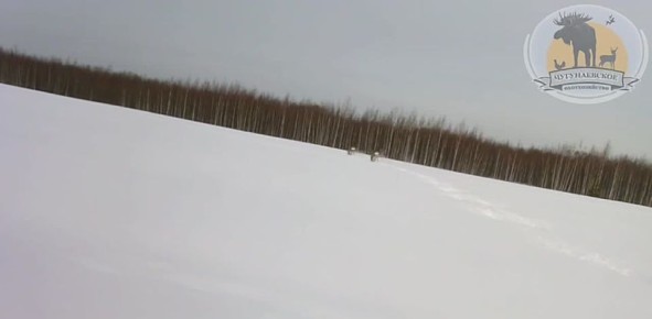 ������� � ���� ��������). ��� �� ���� �� ������! ����� �����: ������������� ������������ ����������