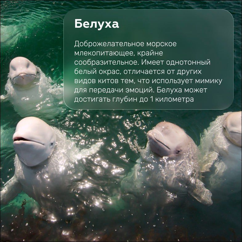 19 ������� � ��������� ���� ������ ������� �������������, ��� ��������� ���� �����