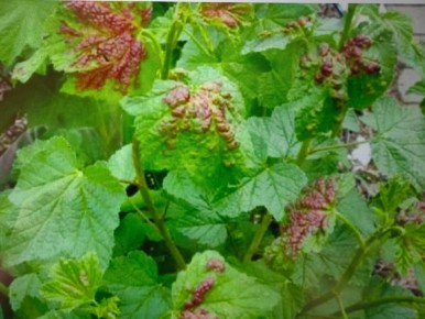 ��� ���������� � �������� ���� �� ��������� � ������ ������