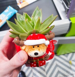 ������ �� ������������: ������ �� ���� �������� ����� �����