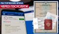 Развод через Госуслуги: как упростить процедуру и избежать подводных камней