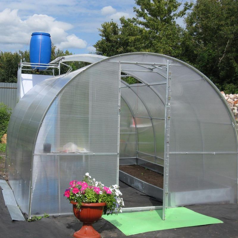 Зима в теплице: стоит ли держать двери открытыми?